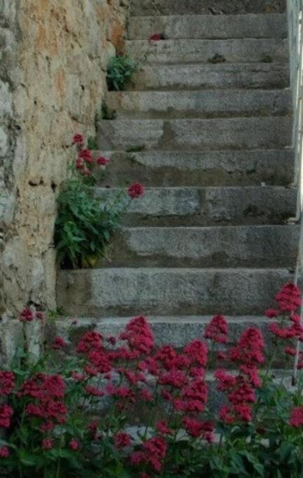 Bedroom For 1, In 100 Y Old Dalmatian House, Under Mountain, 14 Km To Np Krka, 35 Mins Drive To Beach Razvode Εξωτερικό φωτογραφία